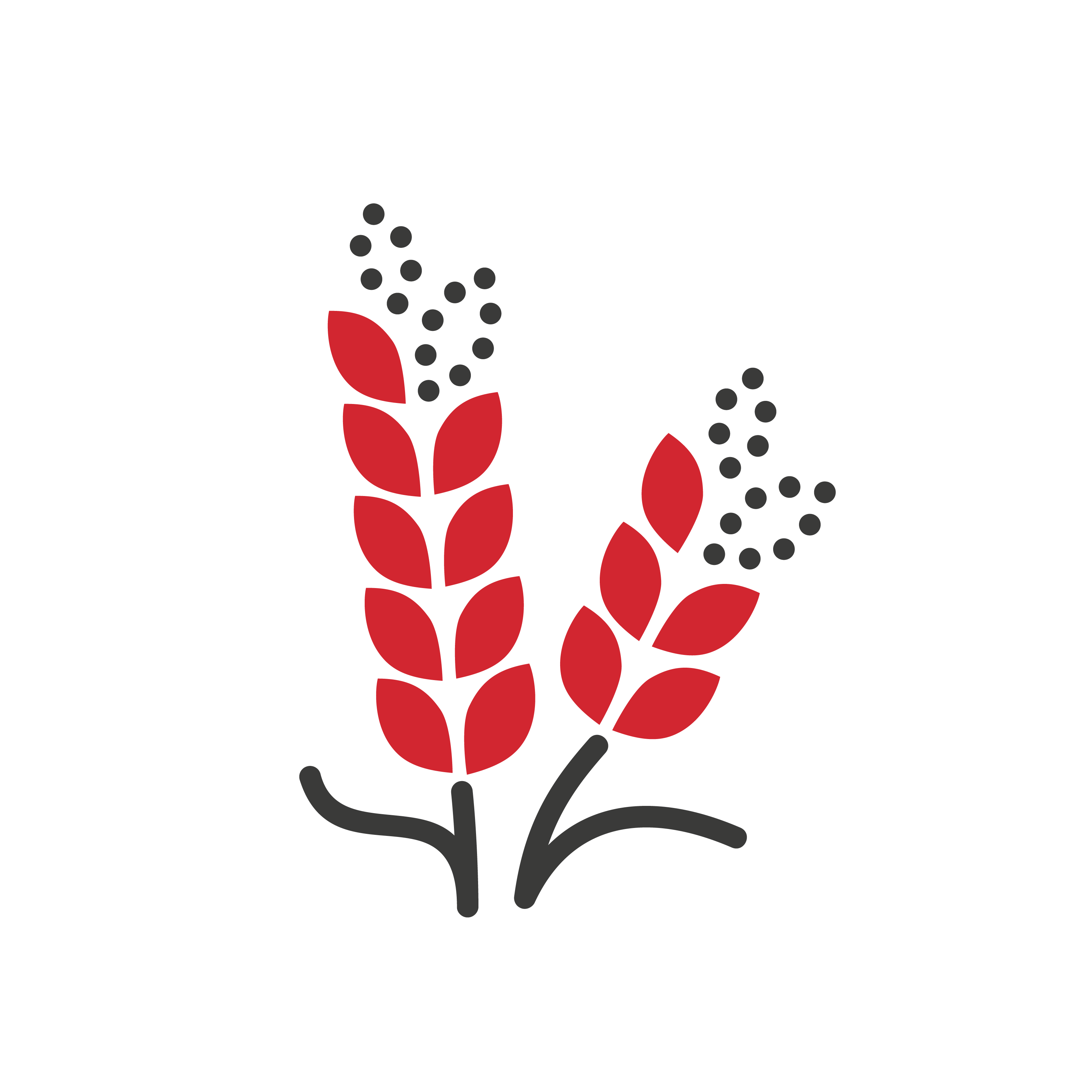 multiplying ministry icon