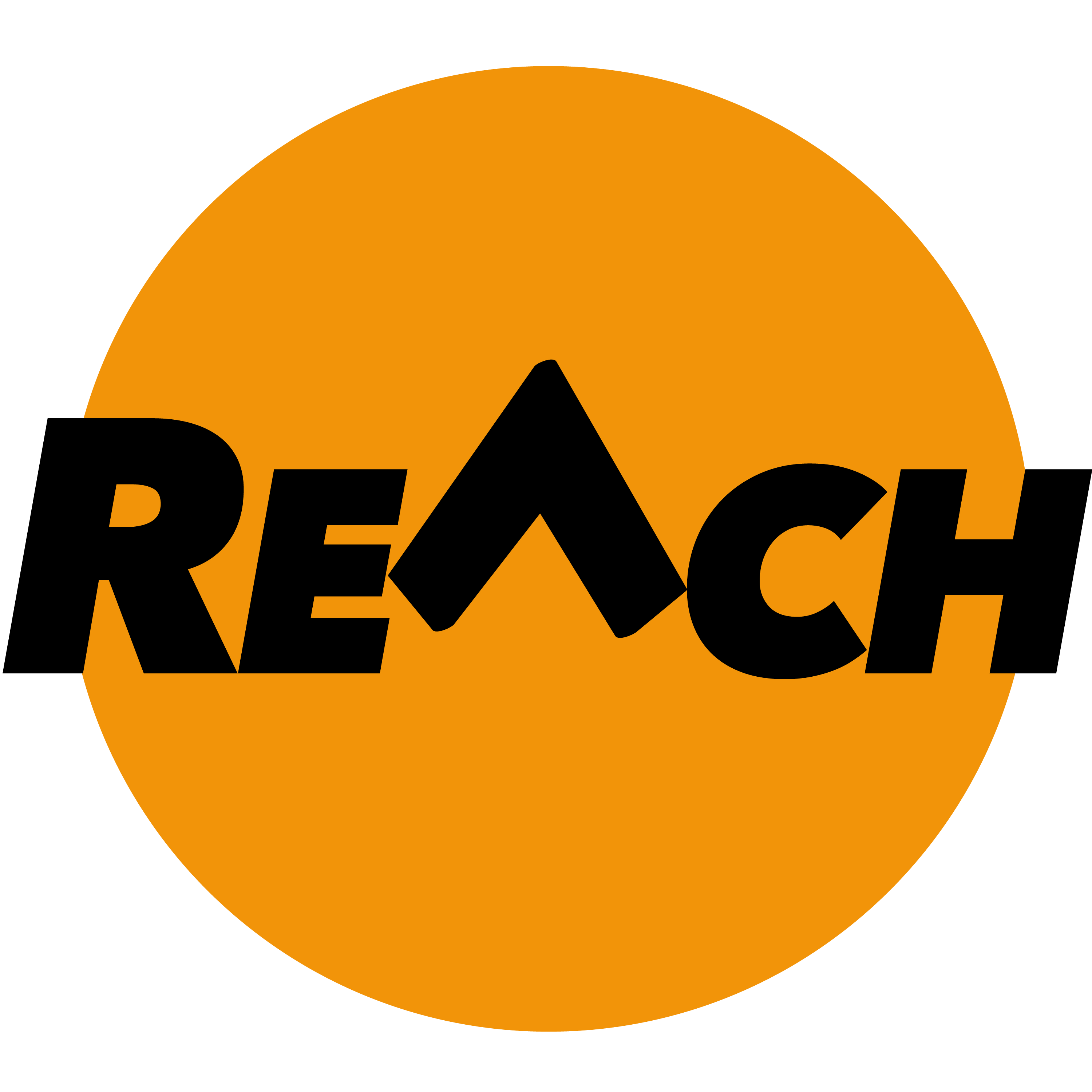 REACH-logo