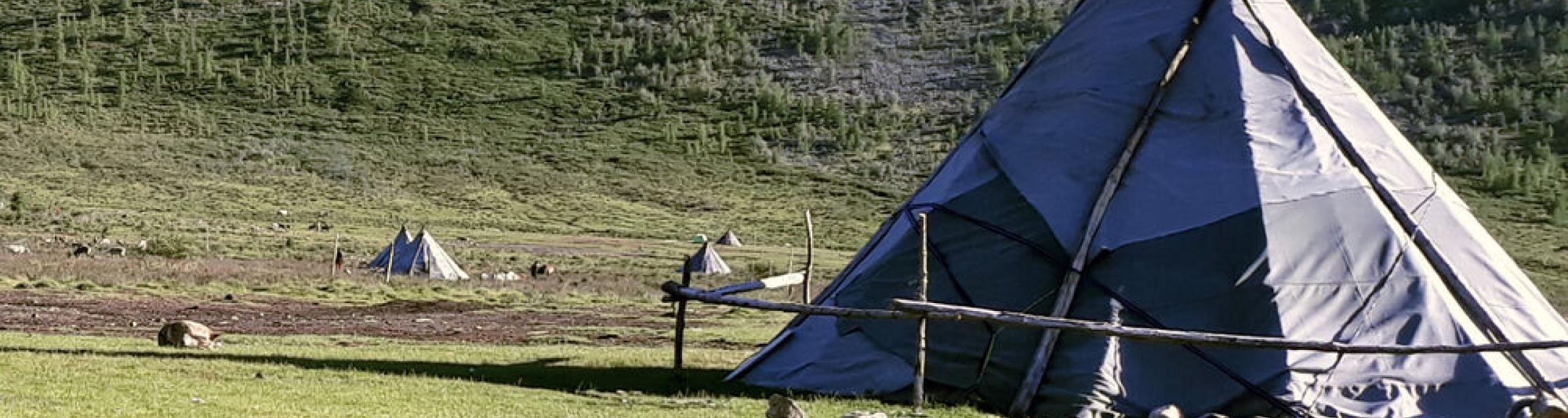 Tsaatan reindeer herders' tent Mongolia
