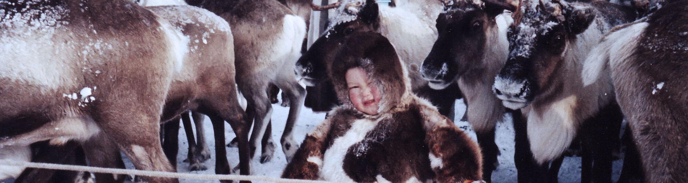 Child among reindeers
