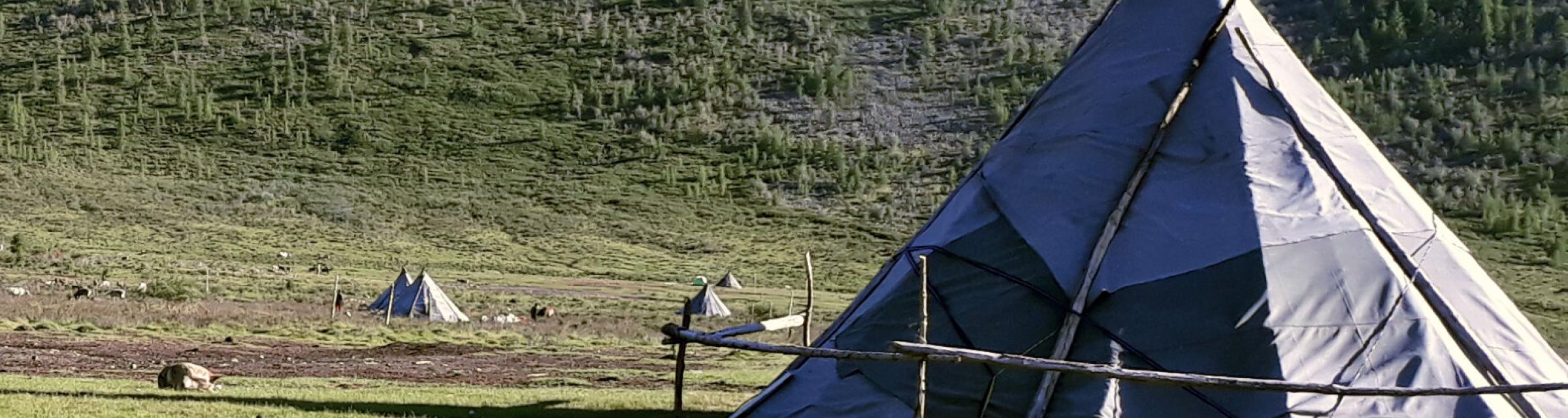 View of the nomadic Tsaatan reindeer herders' settlement of tents in a remote valley in Mongolia. Photo by Buyana.