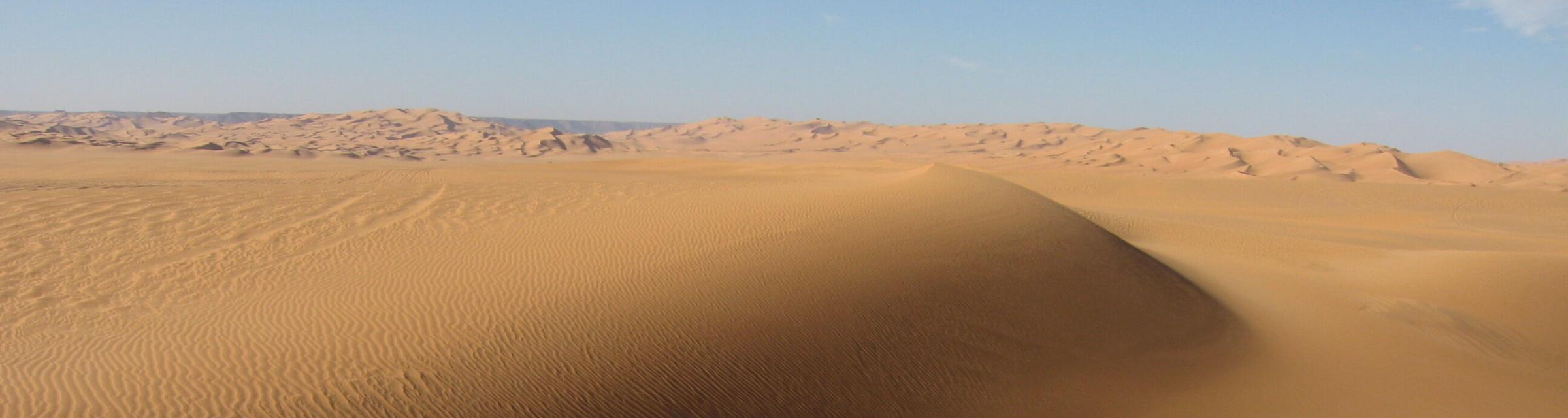 A sandy landscape.