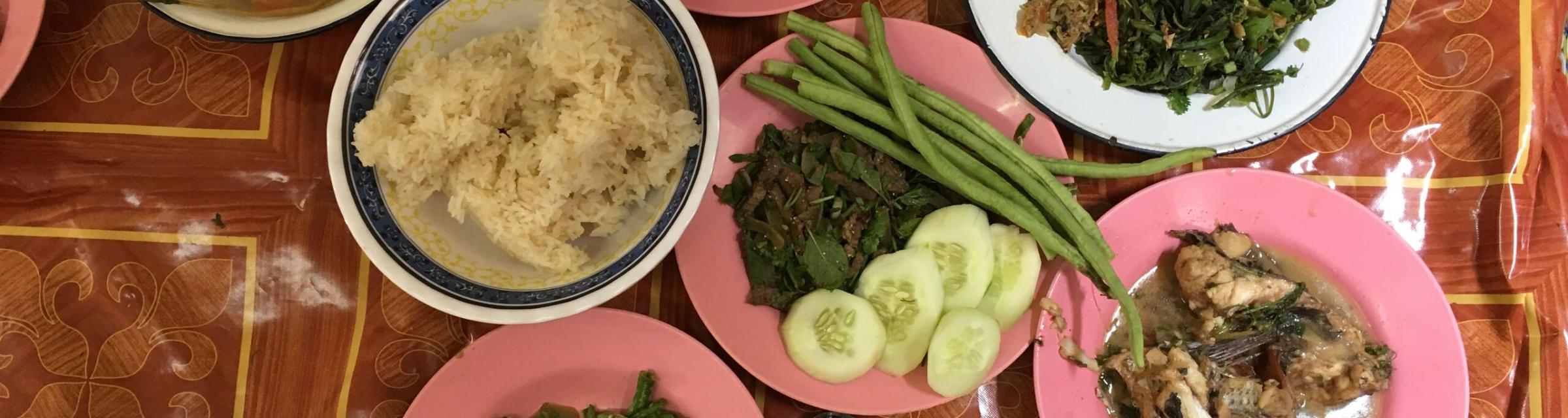 Life in South East Asia is full of color. Communal meals with various fish dishes are shared in plates like this with a group. Photo by Ellyn Schellenberg.
