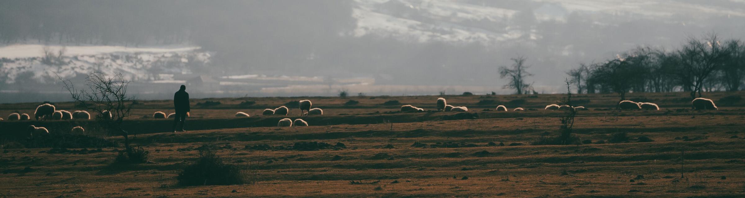 rural area in Caucasus 
picture by Lennard Prediger