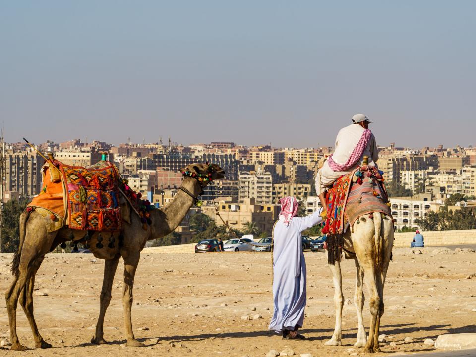 men with camels