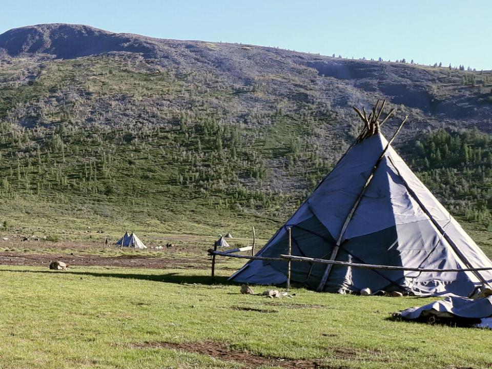 Tsaatan reindeer herders' tent Mongolia