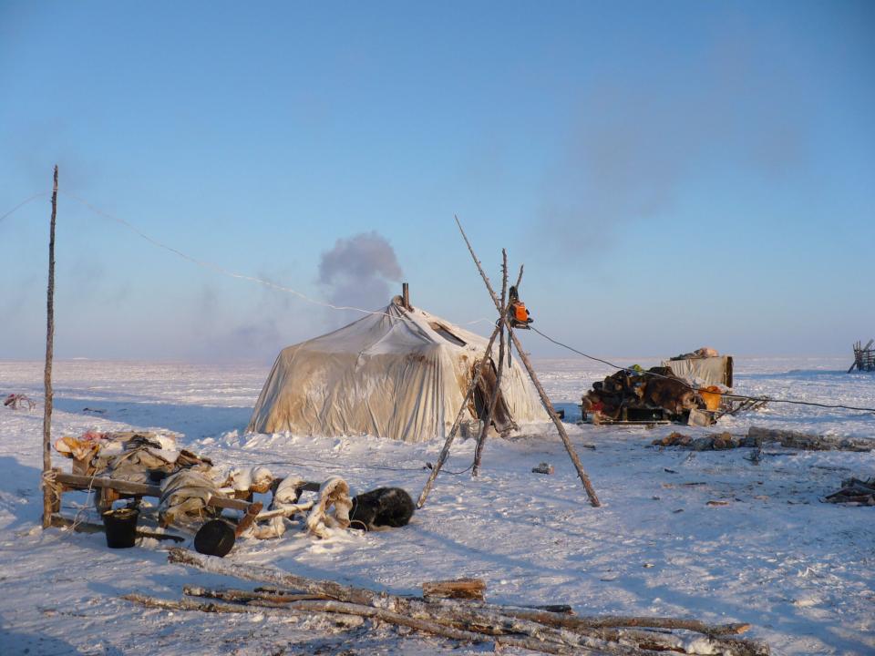 Chukchi reindeer herders' camp
