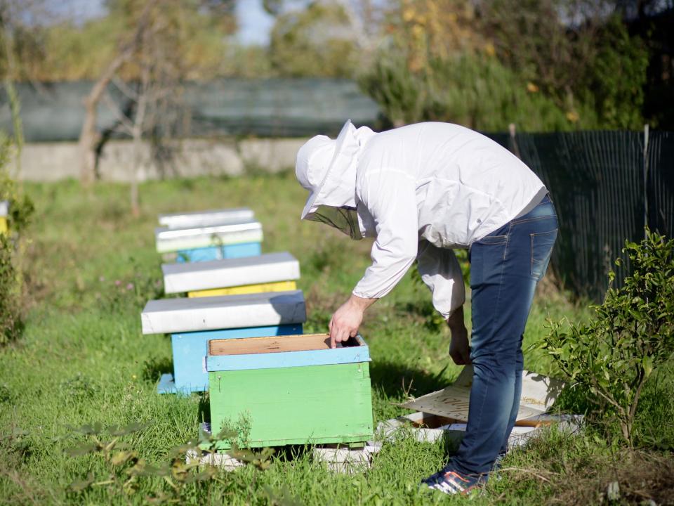 A locally-run bee-keeping business whose owner uses skills learned at OM Albania's Business As Mission (BAM) training.