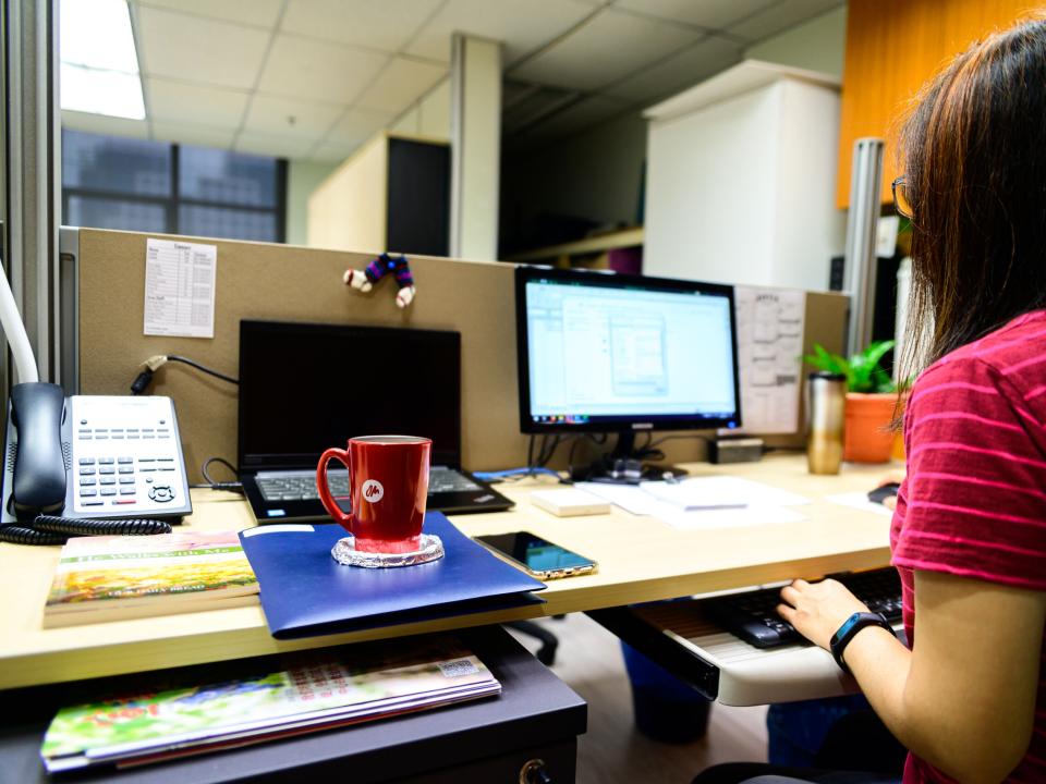 Office worker working away in the office.