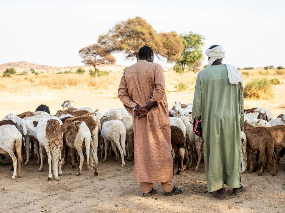Goat herders watch over their flock in north-central Africa. Photo by Rebecca  R.