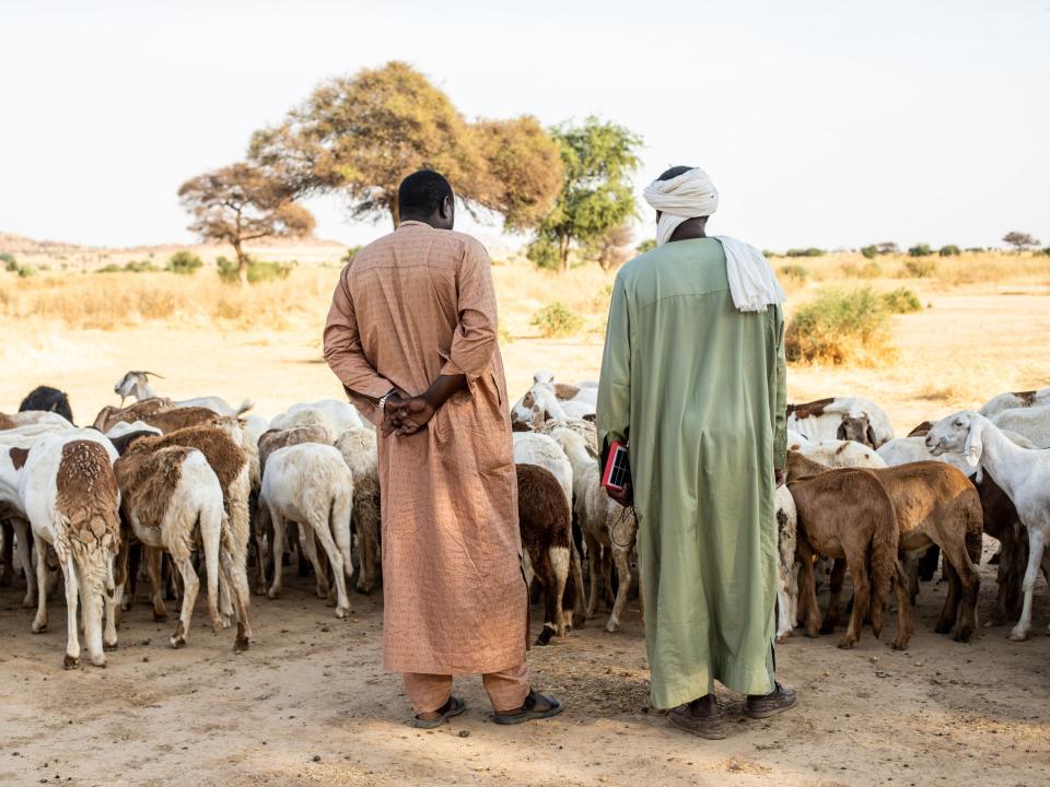 Goat herders watch over their flock in north-central Africa. Photo by Rebecca  R.