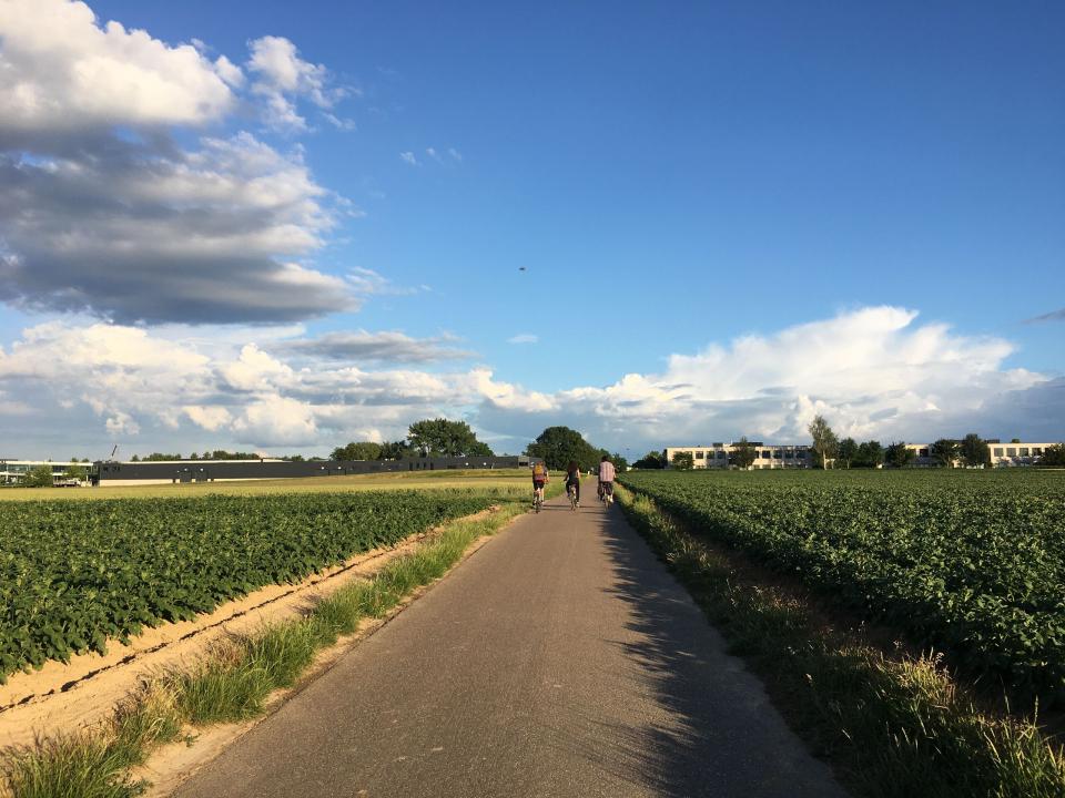 Friends riding bikes in Belgian fields. Photo by Michelle Veliz.