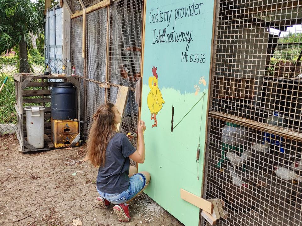 Willemstad, Curaçao :: A crewmember paints a chicken coop Logos Hope's volunteers built on a 'challenge team' project on the island.