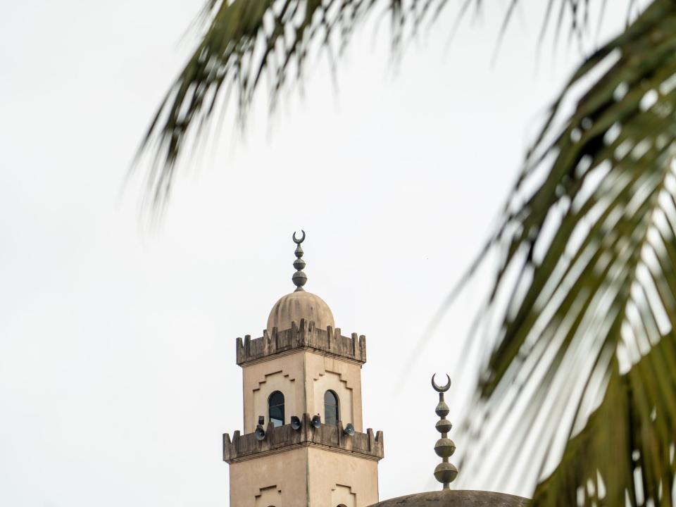 A mosque viewed through palm trees. Photo by Rebecca Rempel.
