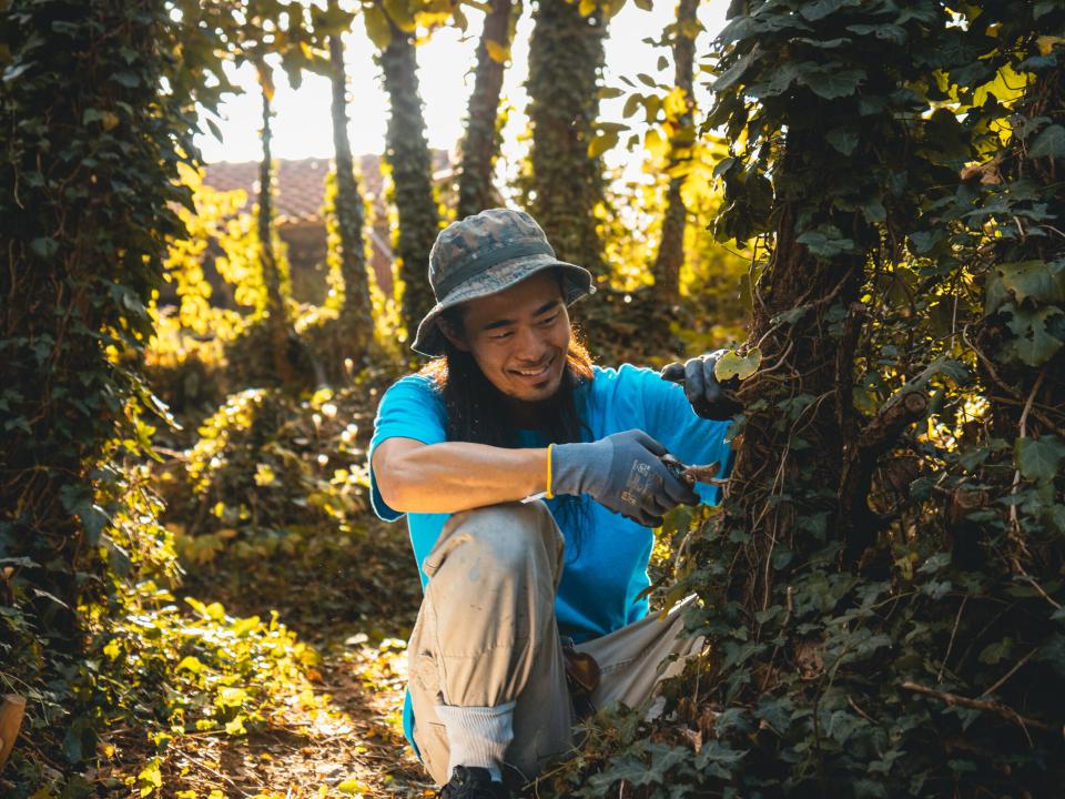 Bar, Montenegro ::Noriyuki (Japan) helps to clear forest at Bašta Zeta.