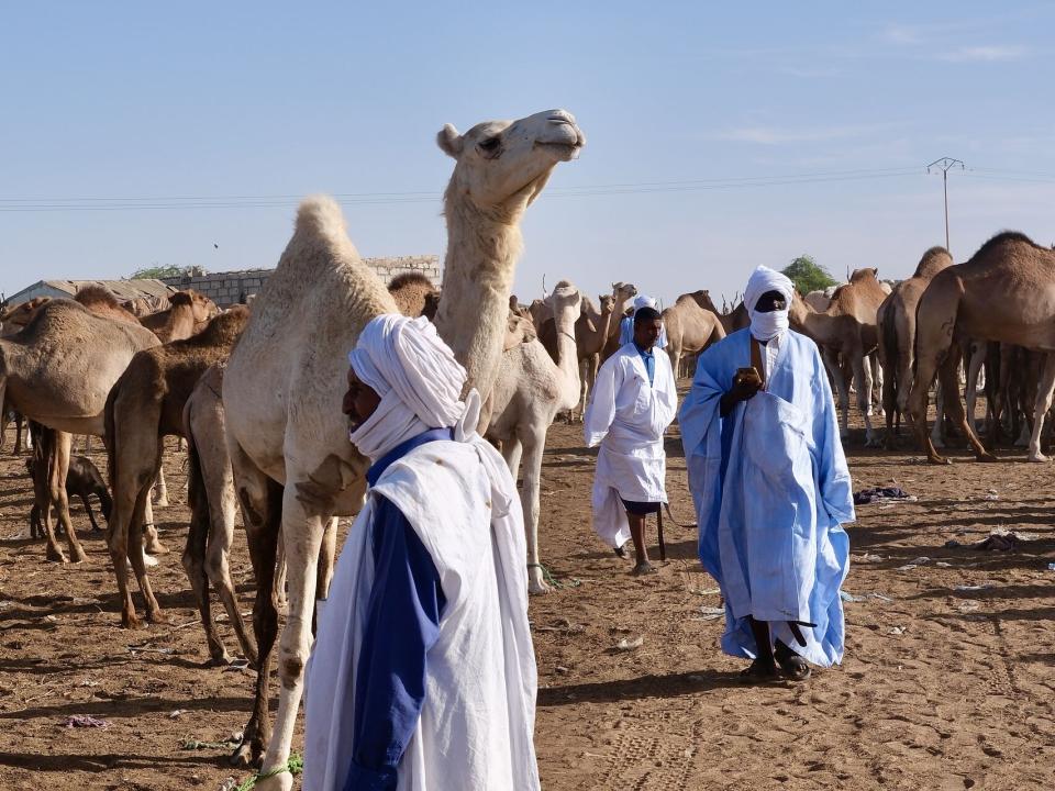 People of North Africa. Photo by Hadley Toweel.
