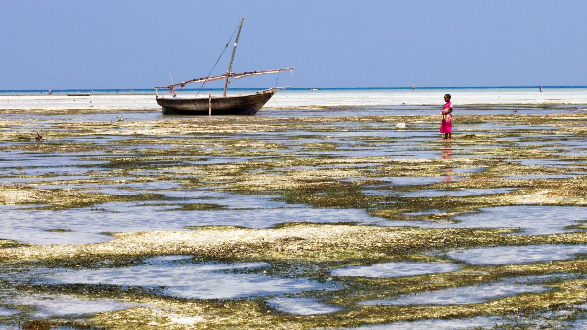 A young girl walks along the beach in Zanzibar, Tanzania