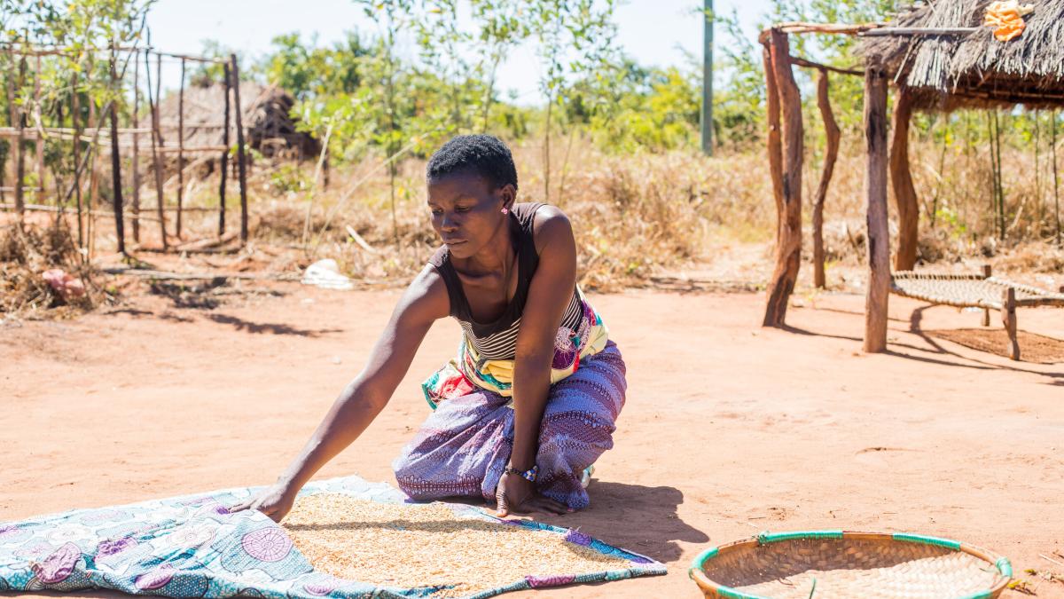 A woman spreads out rice to dry outside of her home in northern Mozambique.