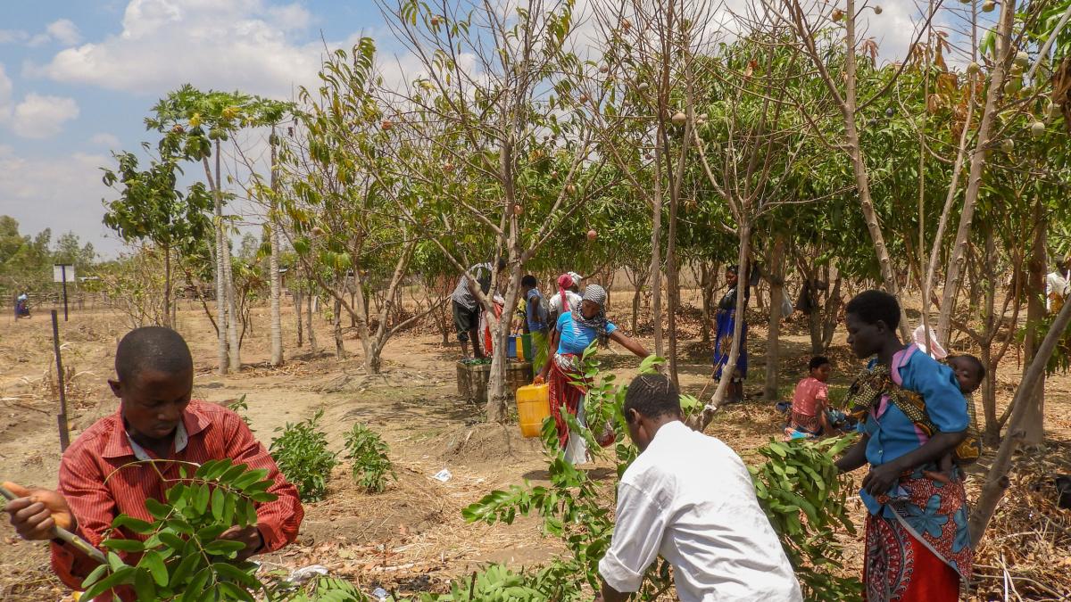 Foundations for Farming - training about compost becomes practical