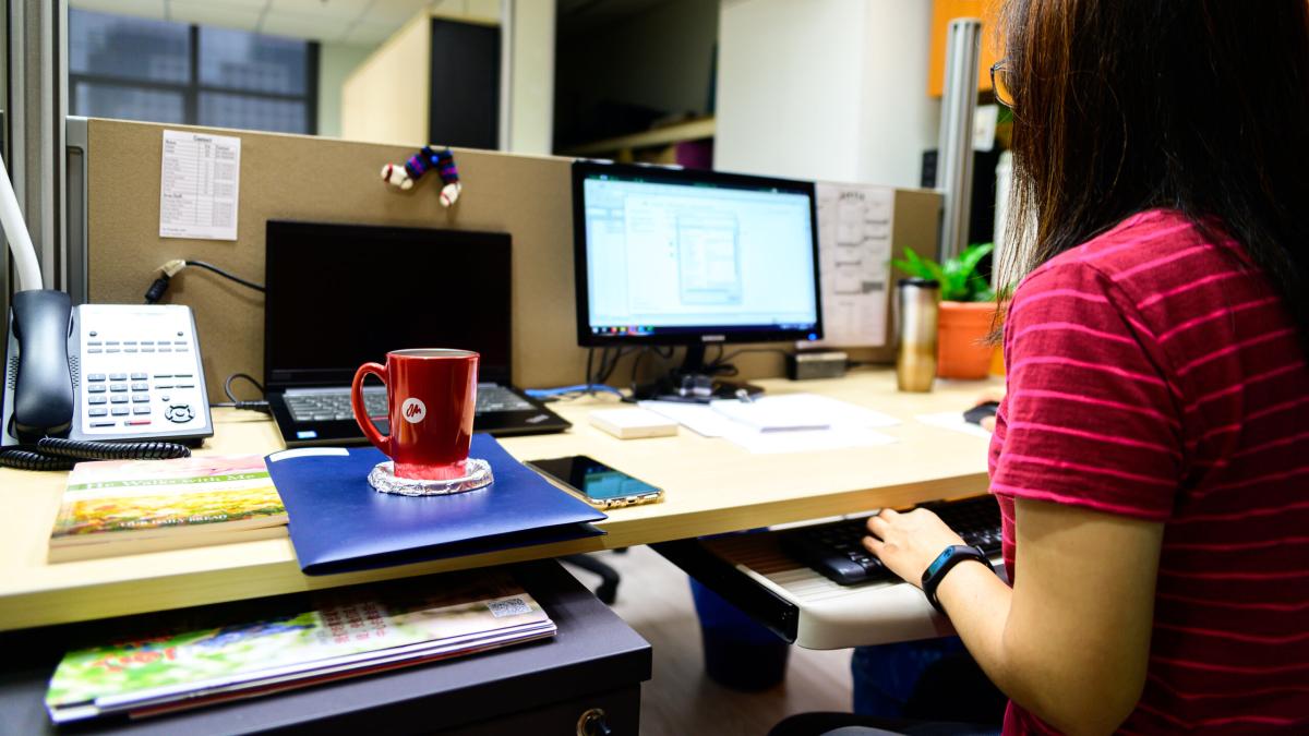 Office worker working away in the office.