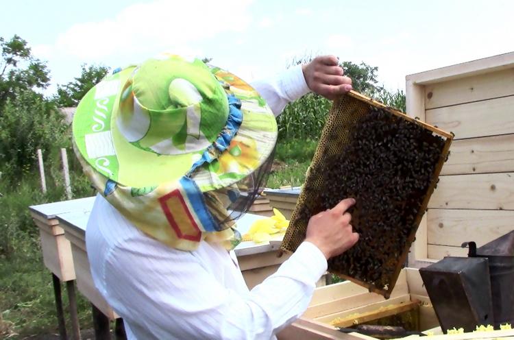 A young Moldovan man is working with his new beehives, which he could purchase with a loan received through OM Moldova’s B4T (Business for Transformation) ministry. B4T helps Moldovans to start their own businesses, thus enabling them to provide for their